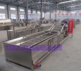 大洋牌氣泡式果蔬清洗機 專為桑葚設計的機械設備研發(fā)創(chuàng)新