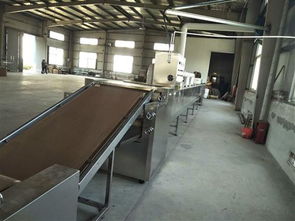 微波肉皮膨化設(shè)備 賦能大型食品加工廠的高效生產(chǎn)解決方案